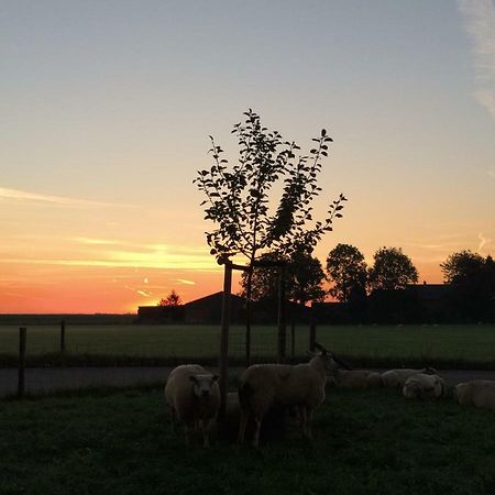 Boerengastenverblijf De Kromme Rijn Cothen Luaran gambar