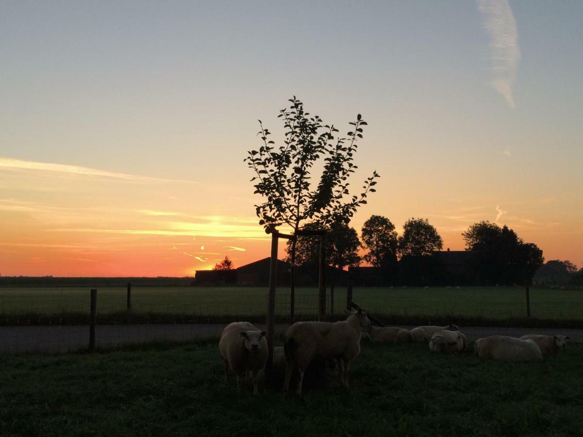 Boerengastenverblijf De Kromme Rijn Cothen Luaran gambar